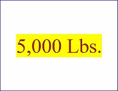 5000 Lbs